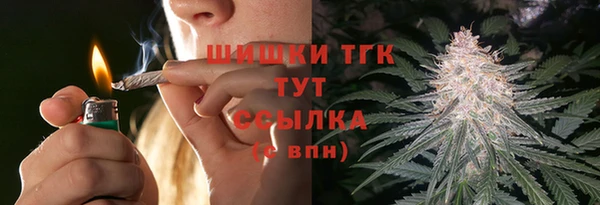 гашик Алексин