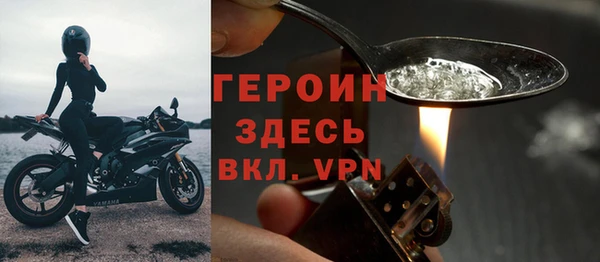 гашик Алексин