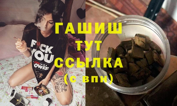 гашик Алексин