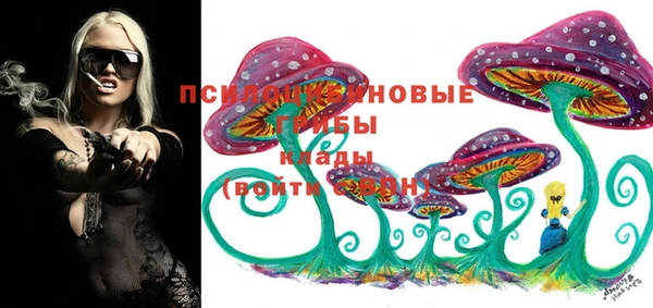 таблы Приозерск