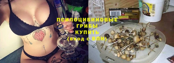 гашик Алексин