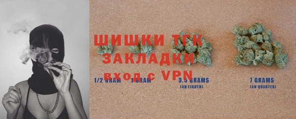 гашик Алексин