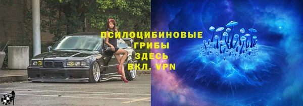 гашик Алексин