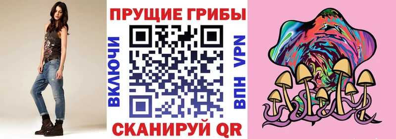 Псилоцибиновые грибы мицелий  Бабушкин 